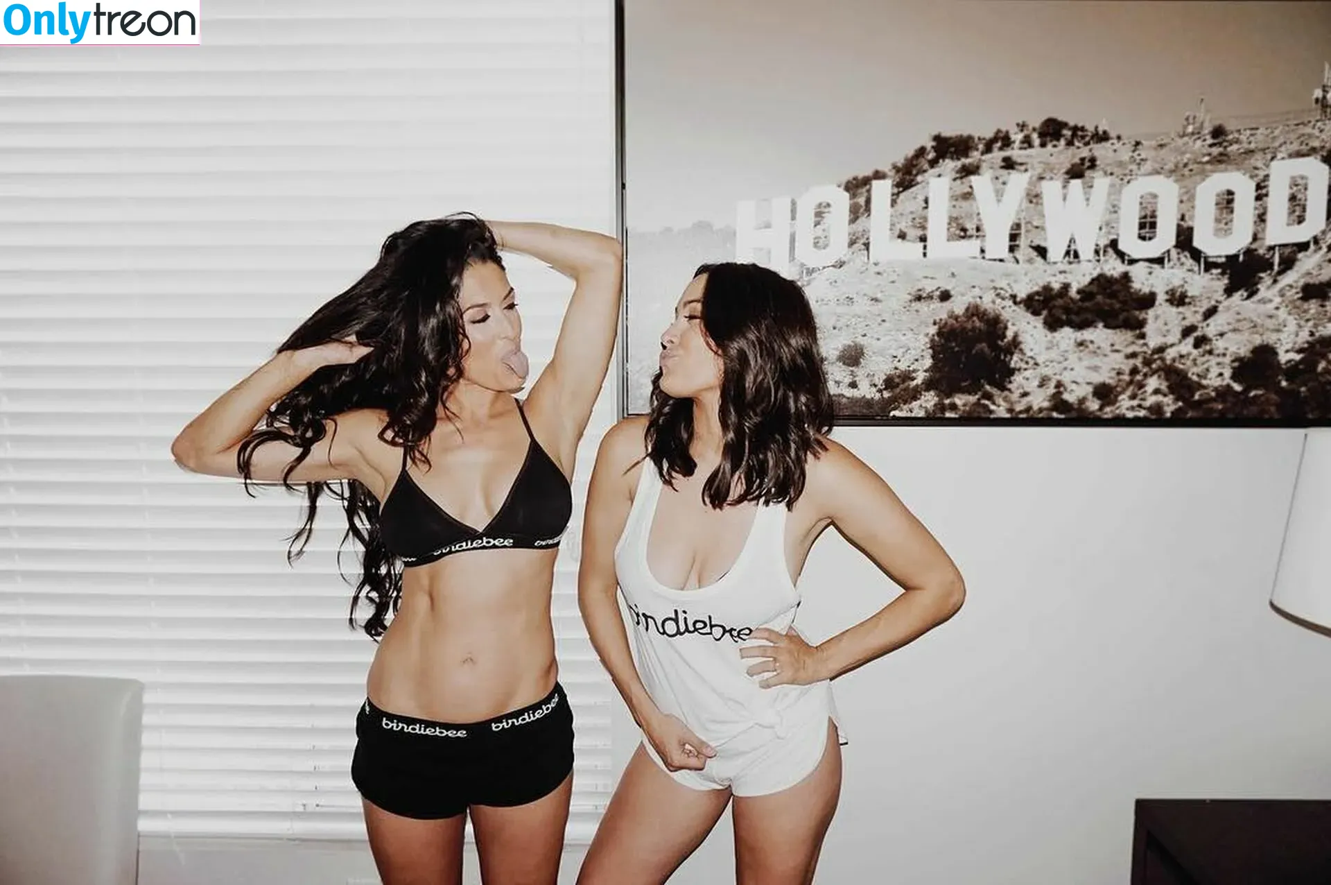 The Bella Twins: nude photo #0482 (Nikki Bella & Brie Bella / thenikkibella)