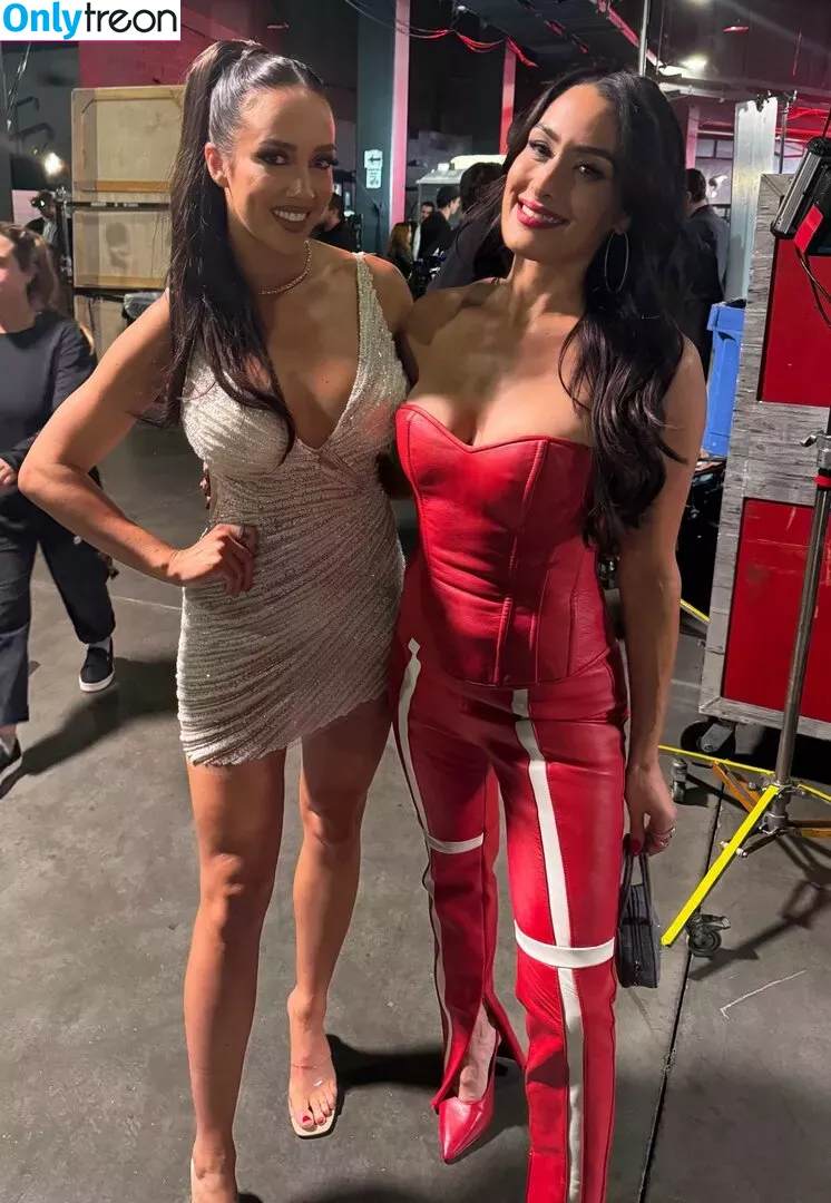 The Bella Twins: nude photo #0537 (Nikki Bella & Brie Bella / thenikkibella)