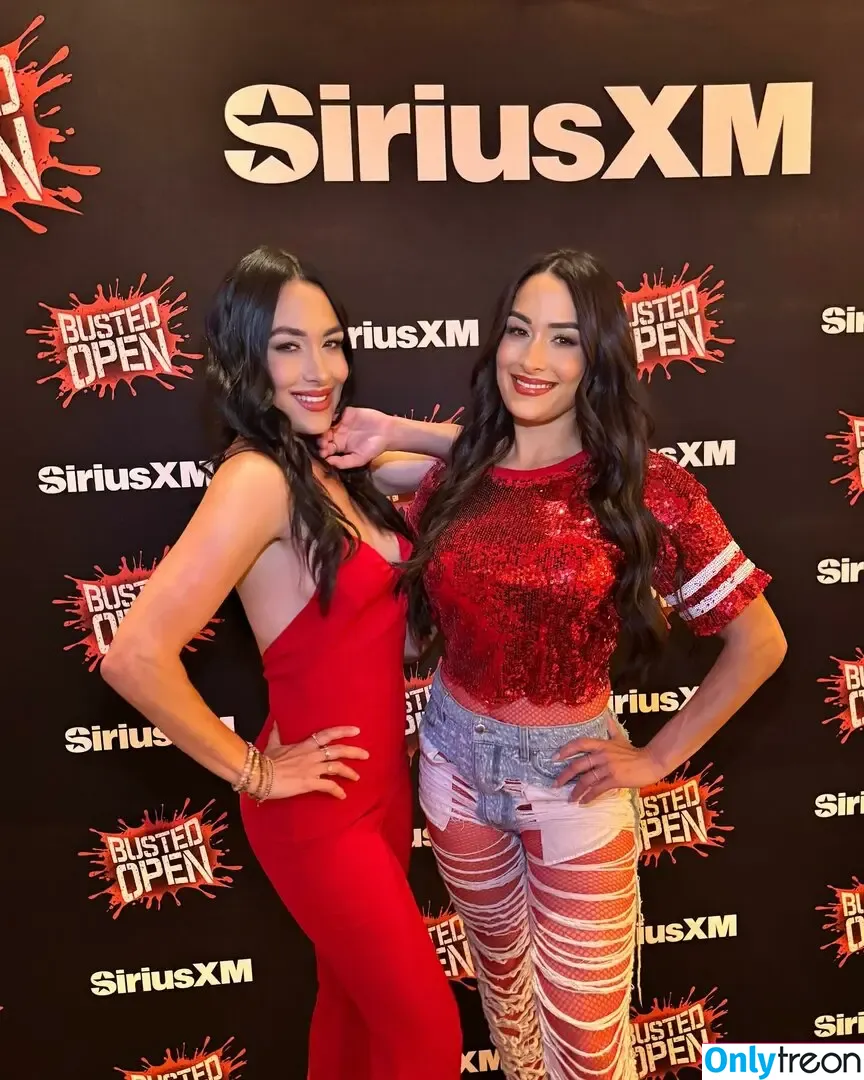 The Bella Twins: nude photo #0665 (Nikki Bella & Brie Bella / thenikkibella)