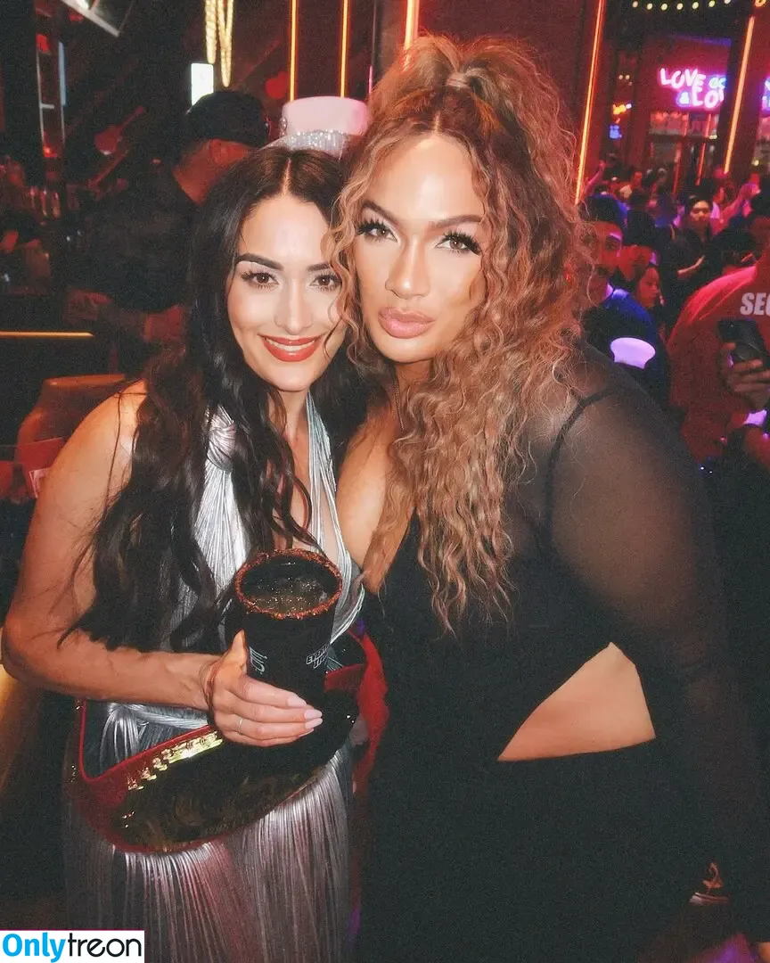 The Bella Twins: nude photo #0674 (Nikki Bella & Brie Bella / thenikkibella)