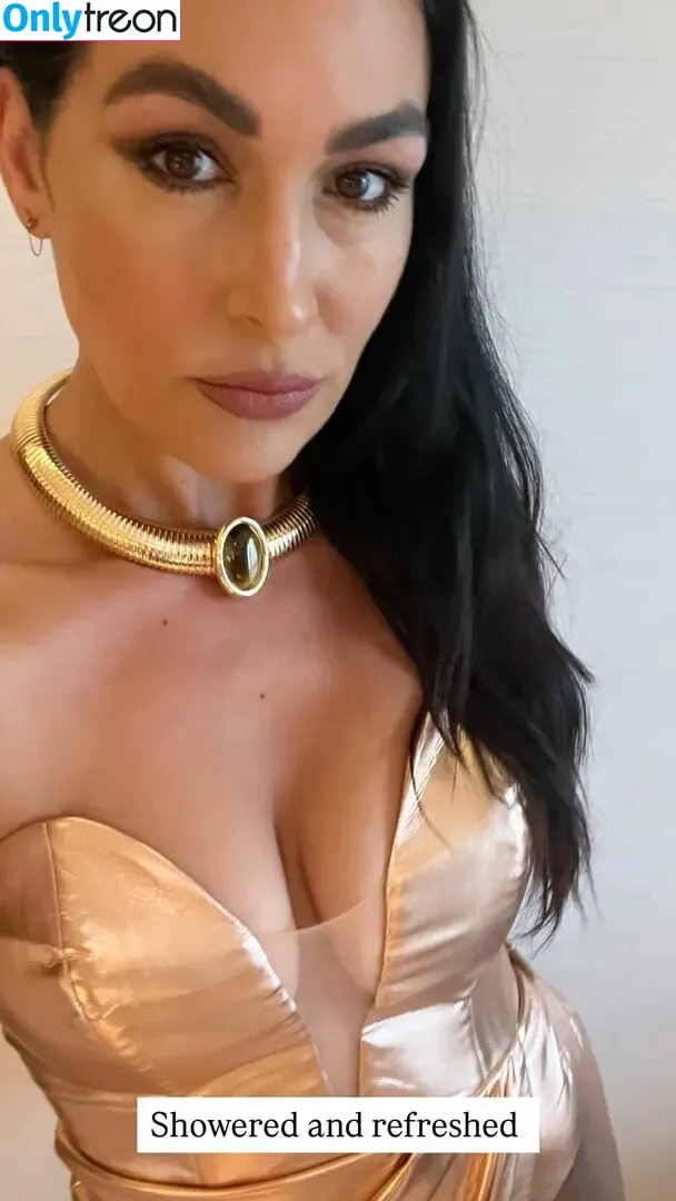 The Bella Twins: голая photo #0683 (Nikki Bella & Brie Bella / thenikkibella)