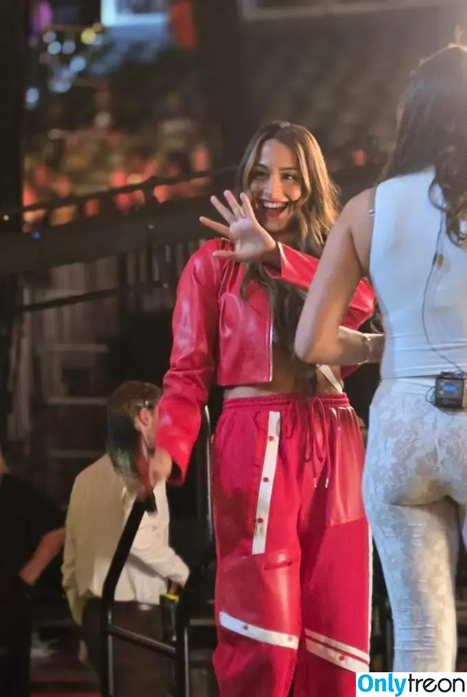The Bella Twins: nude photo #0743 (Nikki Bella & Brie Bella / thenikkibella)