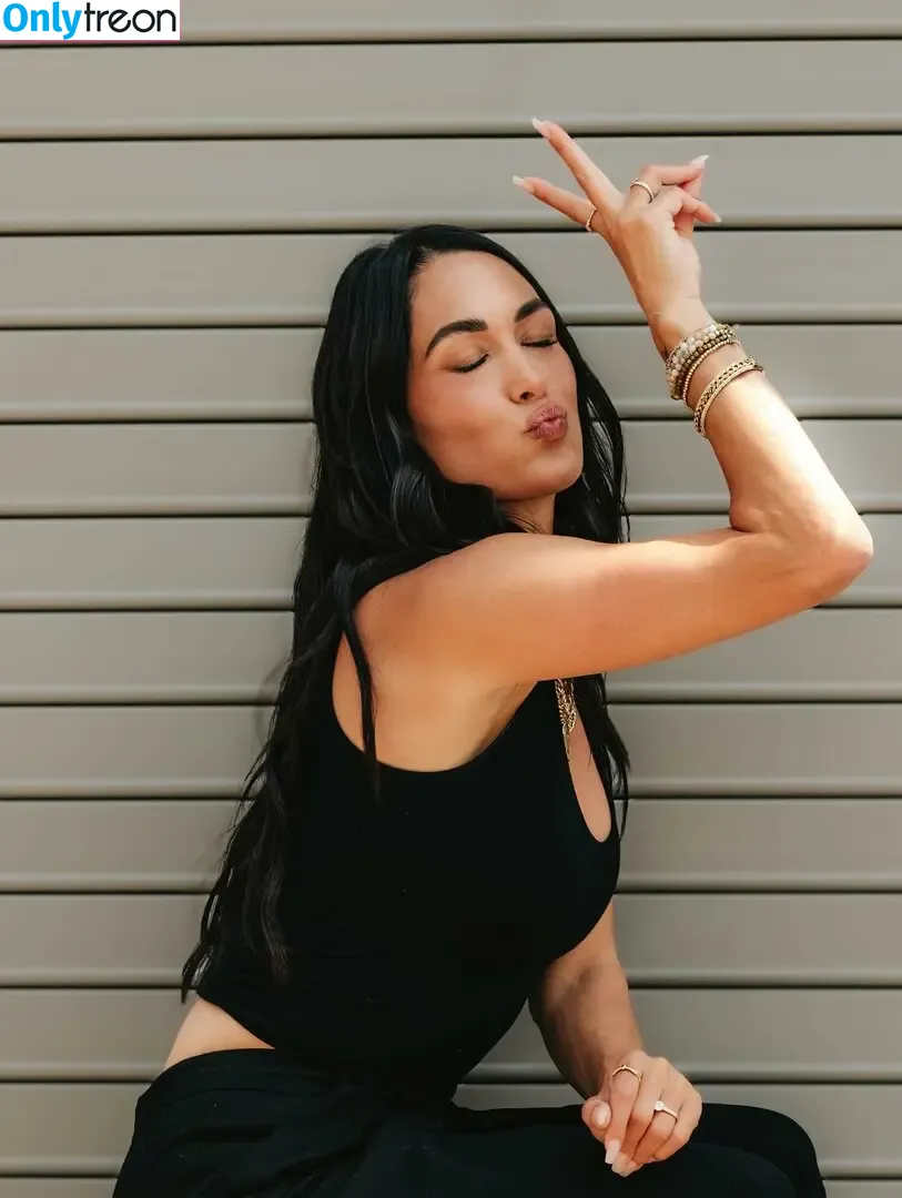 The Bella Twins: голая photo #0751 (Nikki Bella & Brie Bella / thenikkibella)