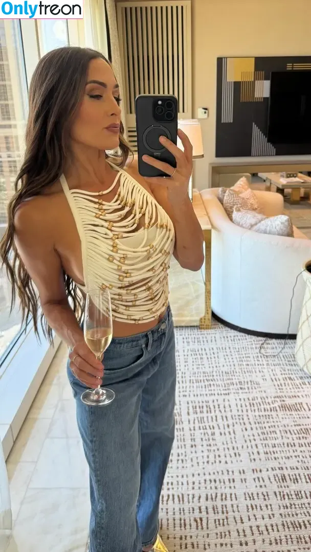 The Bella Twins: голая photo #0794 (Nikki Bella & Brie Bella / thenikkibella)