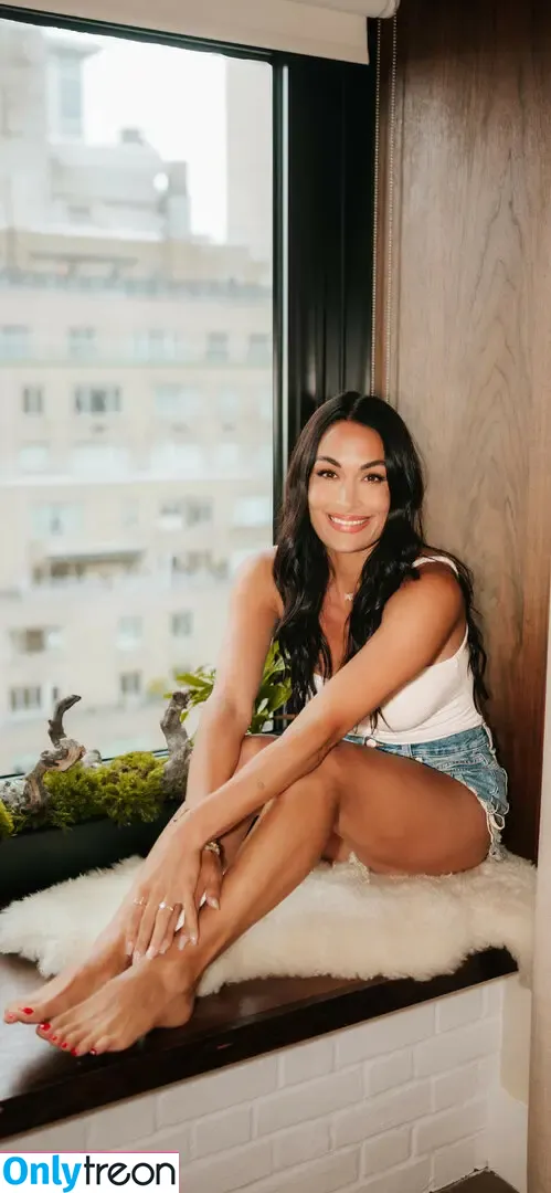 The Bella Twins: nude photo #0815 (Nikki Bella & Brie Bella / thenikkibella)