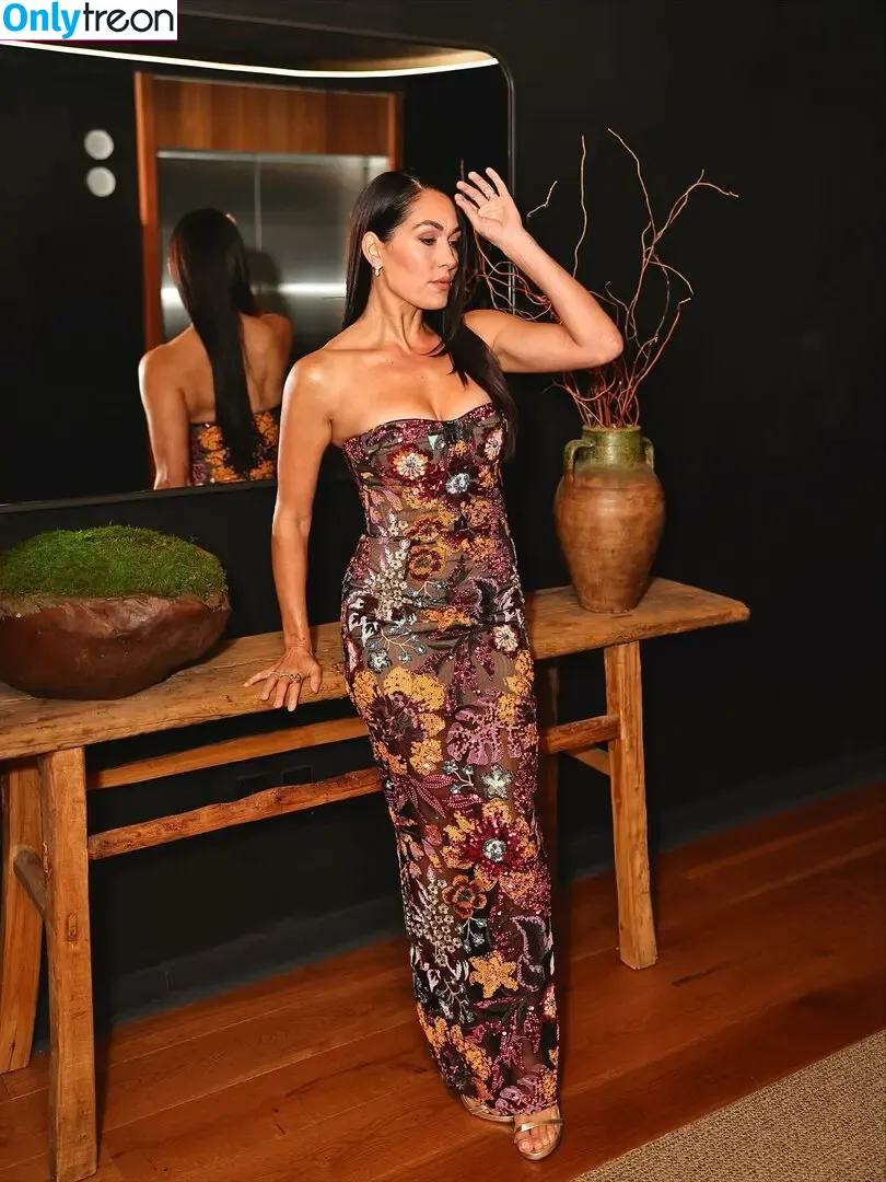 The Bella Twins: голая photo #0821 (Nikki Bella & Brie Bella / thenikkibella)