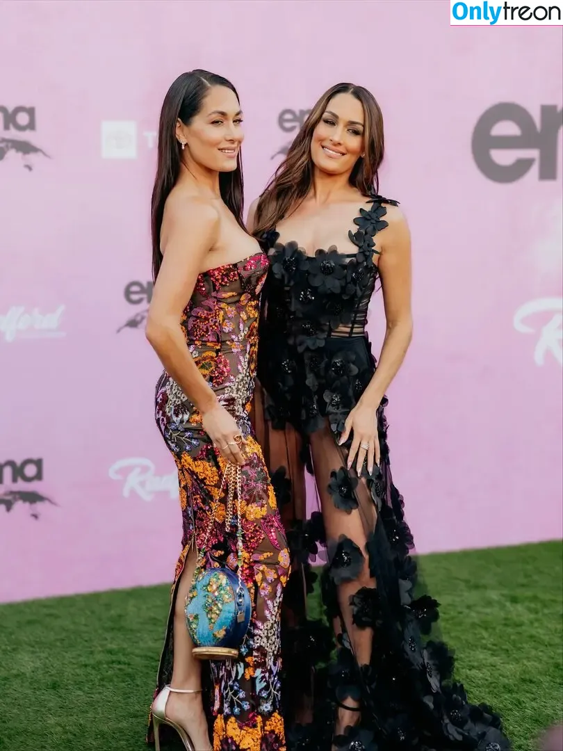 The Bella Twins: nude photo #0822 (Nikki Bella & Brie Bella / thenikkibella)