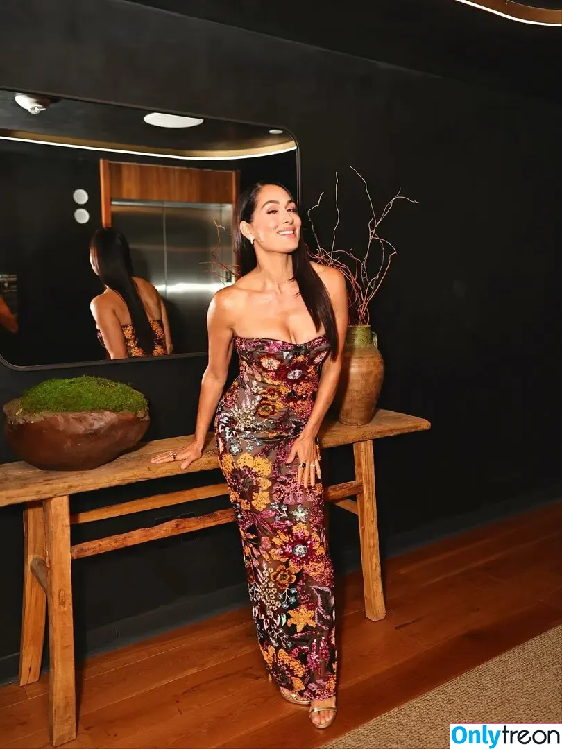 The Bella Twins: nude photo #0823 (Nikki Bella & Brie Bella / thenikkibella)