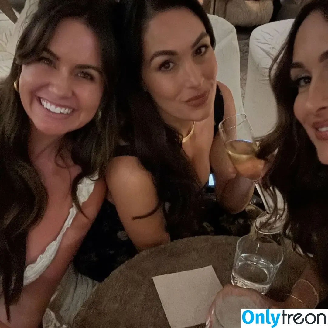 The Bella Twins: nude photo #0829 (Nikki Bella & Brie Bella / thenikkibella)