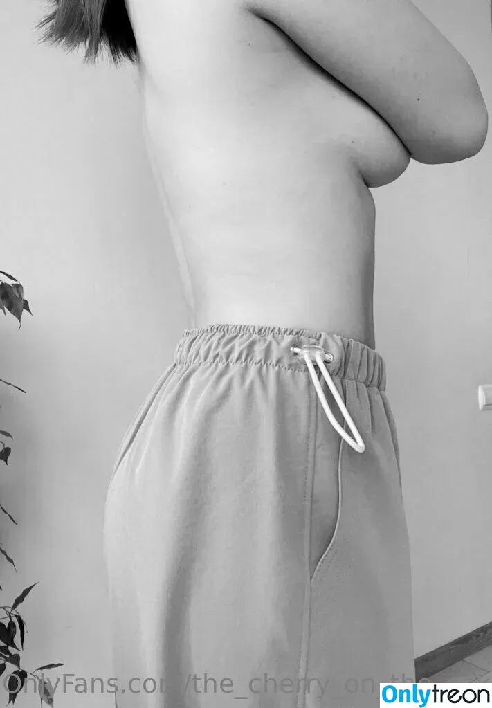 the_cherry_on_the_cake nude photo #0072 (thecherryonthecake5)