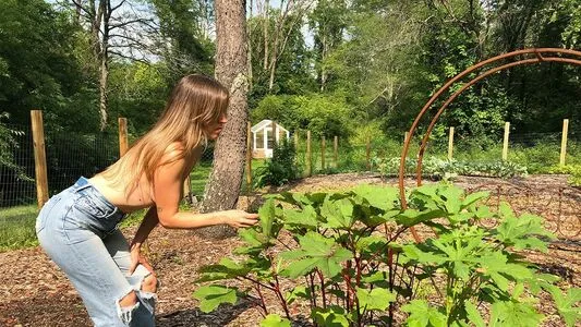 The Naked Gardener / nakedgardener / the_naked_gardener / thenakedgardener_official nude photo #0001