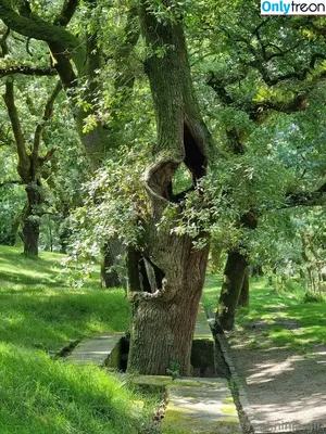 the.real.ninja.girl / ninja_natalie фото голая #0218