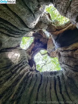 the.real.ninja.girl / ninja_natalie фото голая #0221