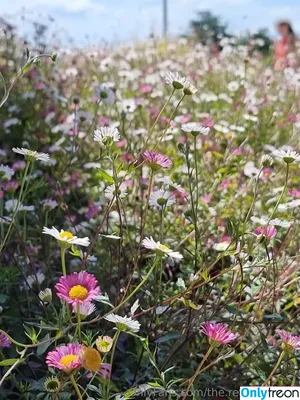 the.real.ninja.girl / ninja_natalie фото голая #0222