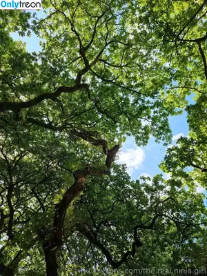 the.real.ninja.girl / ninja_natalie фото голая #0223