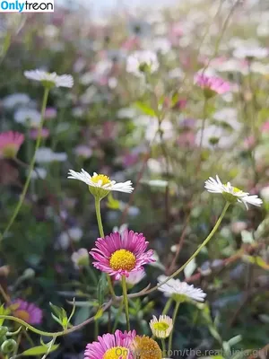 the.real.ninja.girl / ninja_natalie фото голая #0224