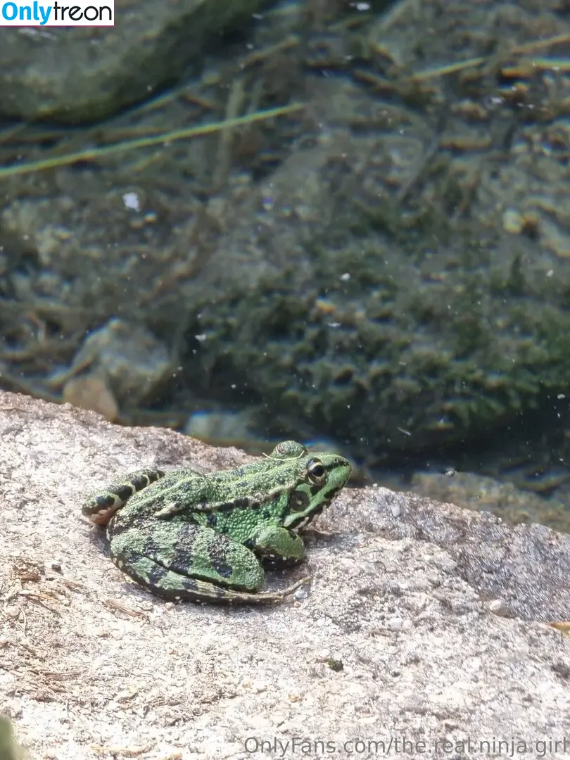 the.real.ninja.girl nude photo #0344 (ninja_natalie)