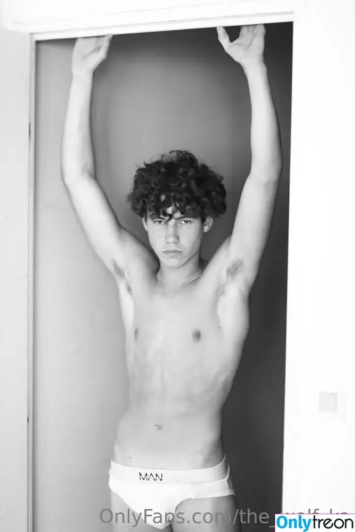 the_wolf_ka nude photo #0008 (the_wolf_)