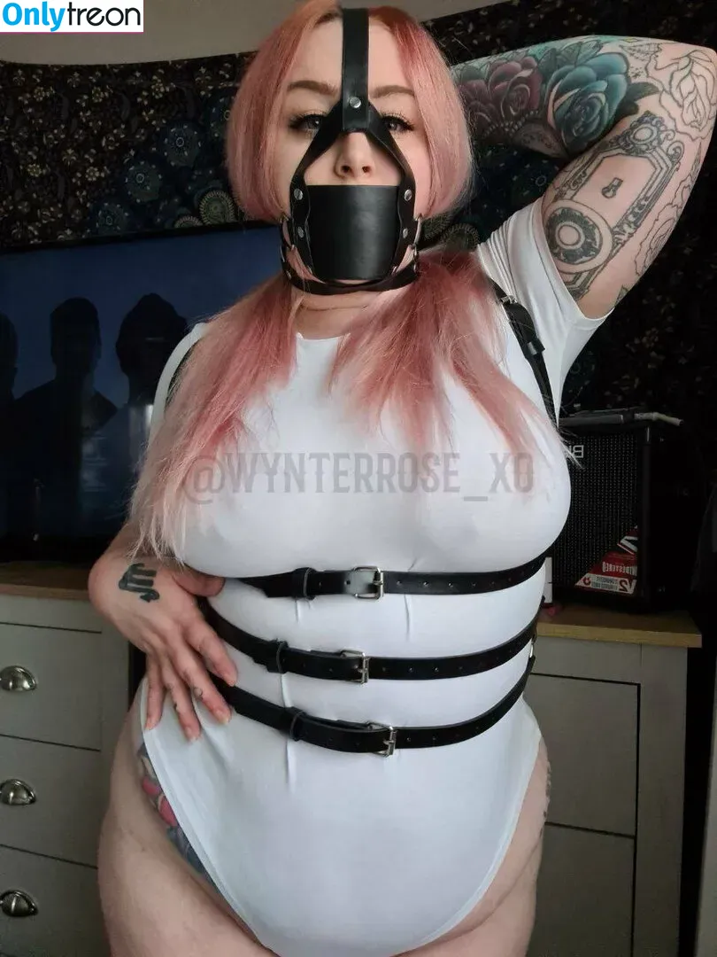 thebbwbible nude photo #0023 (thebbwbible_)