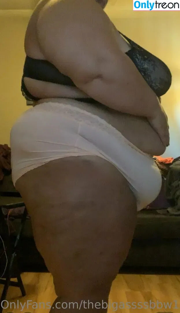 thebigassssbbw1 nude photo #0039 (thebigglooom)