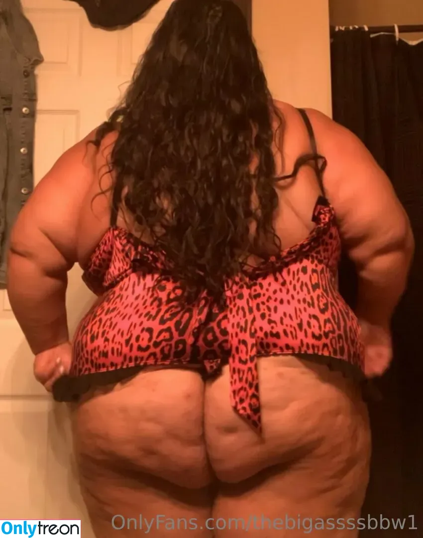 thebigassssbbw1 nude photo #0040 (thebigglooom)