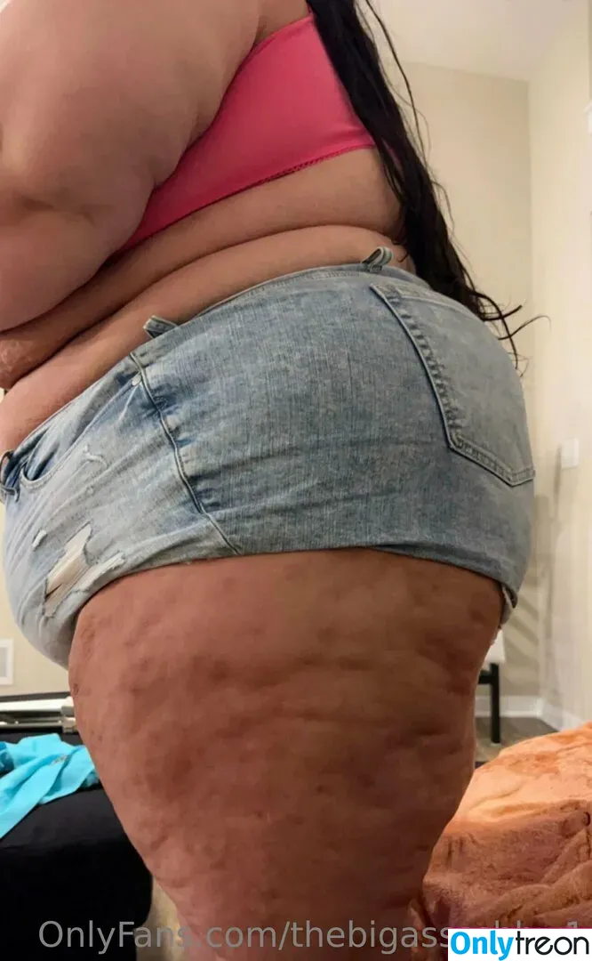 thebigassssbbw1 nude photo #0042 (thebigglooom)