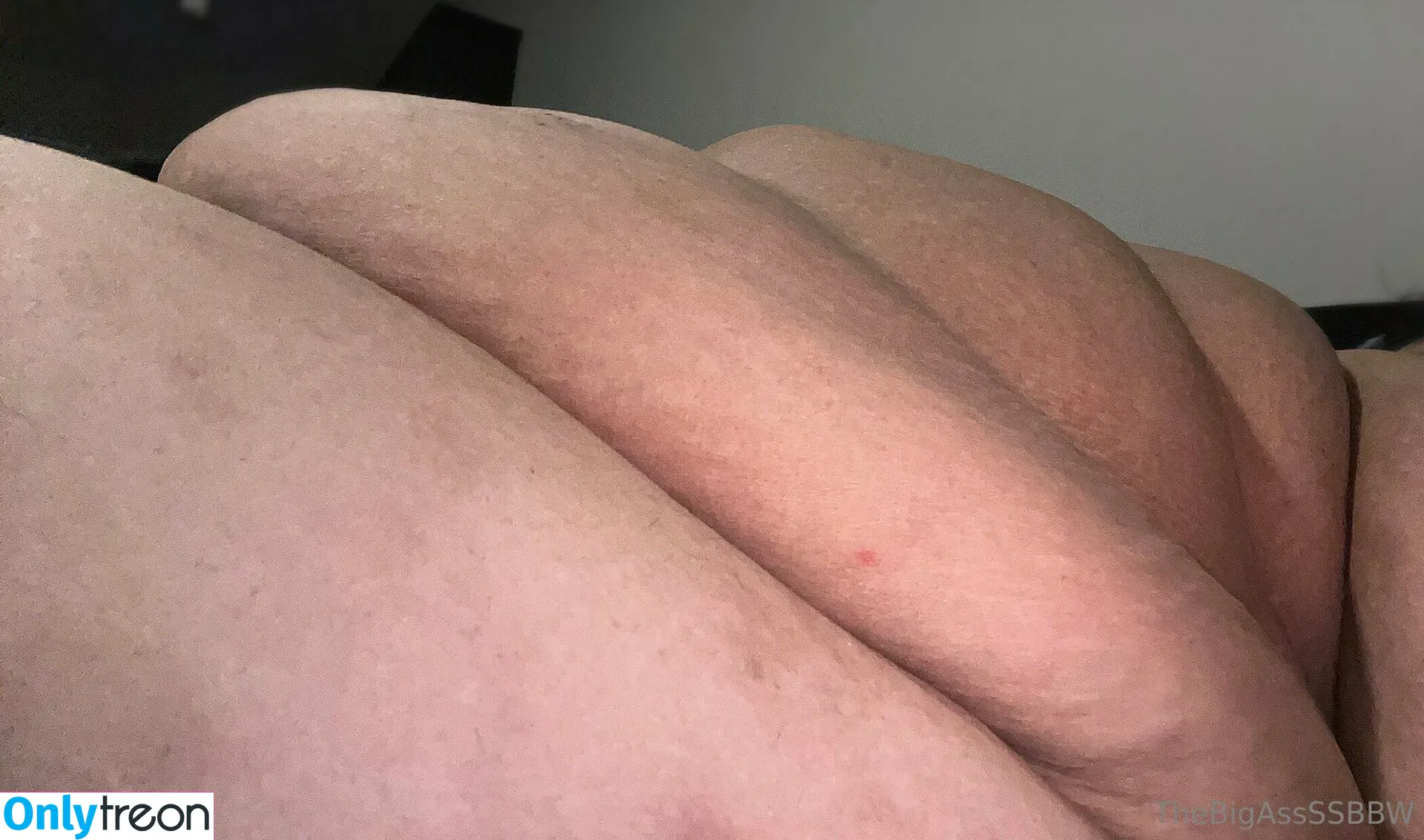 thebigassssbbw1 nude photo #0098 (thebigglooom)