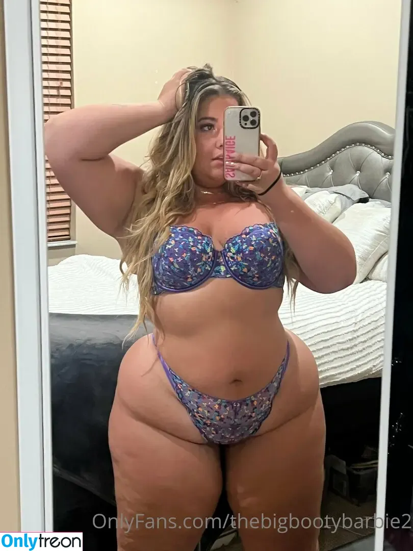 thebigbootybarbie2 nude photo #0066 (thebootybarbie)