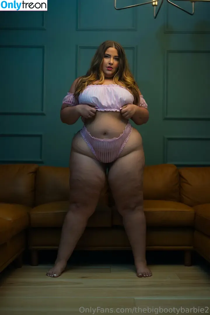 thebigbootybarbie2 nude photo #0153 (thebootybarbie)