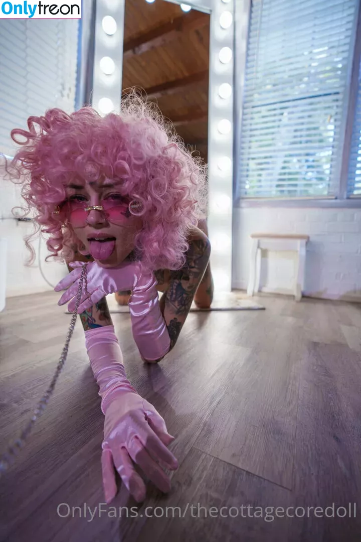 thecottagecoredoll nude photo #0099 (Lilvixxen666 / Spencer Ashton / cottagecore.doll)