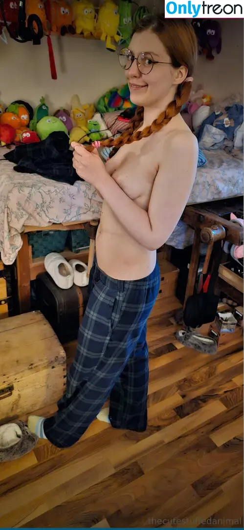 thecutestuffedanimal nude photo #0046 (thecutestuffedanimal)
