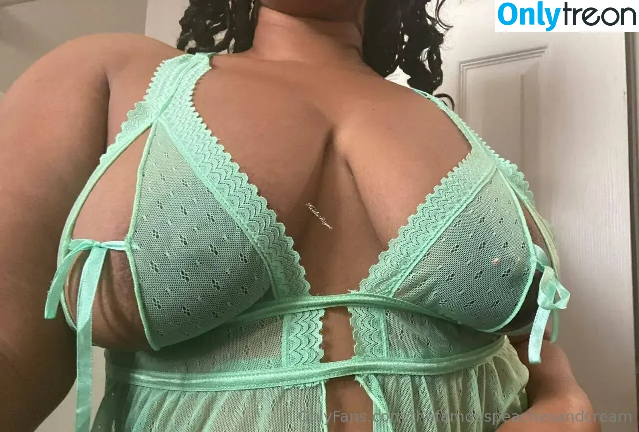thefamouspeachesandcream nude photo #0088 (peachesncreamgt)