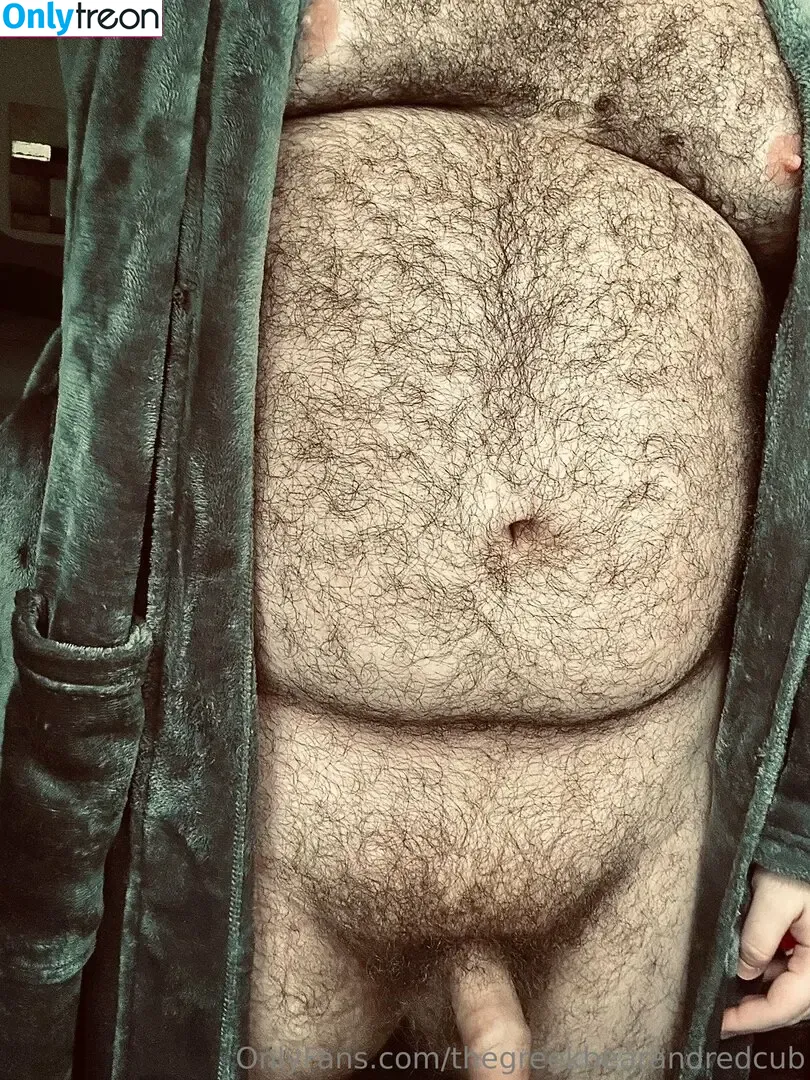 thegreekbearandredcub nude photo #0002 (thegreekbeard)