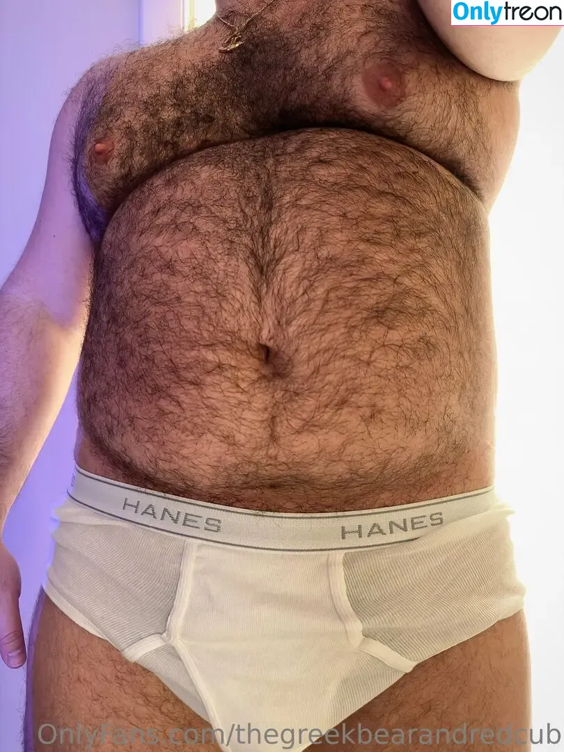 thegreekbearandredcub nude photo #0069 (thegreekbeard)