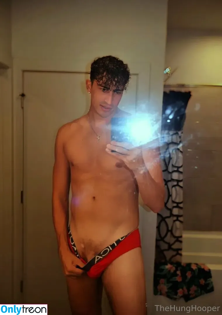 thehunghooper nude photo #0108 (hung_huge)