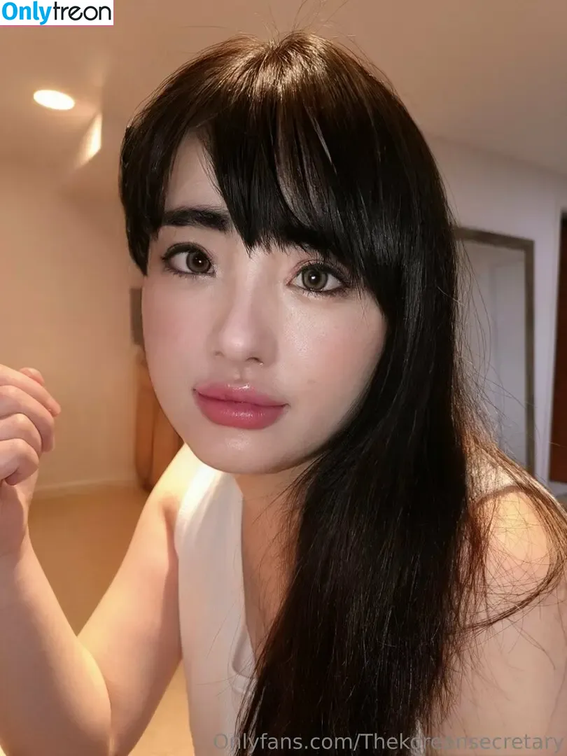 thekoreansecretary nude photo #0040 (koreansecretary)