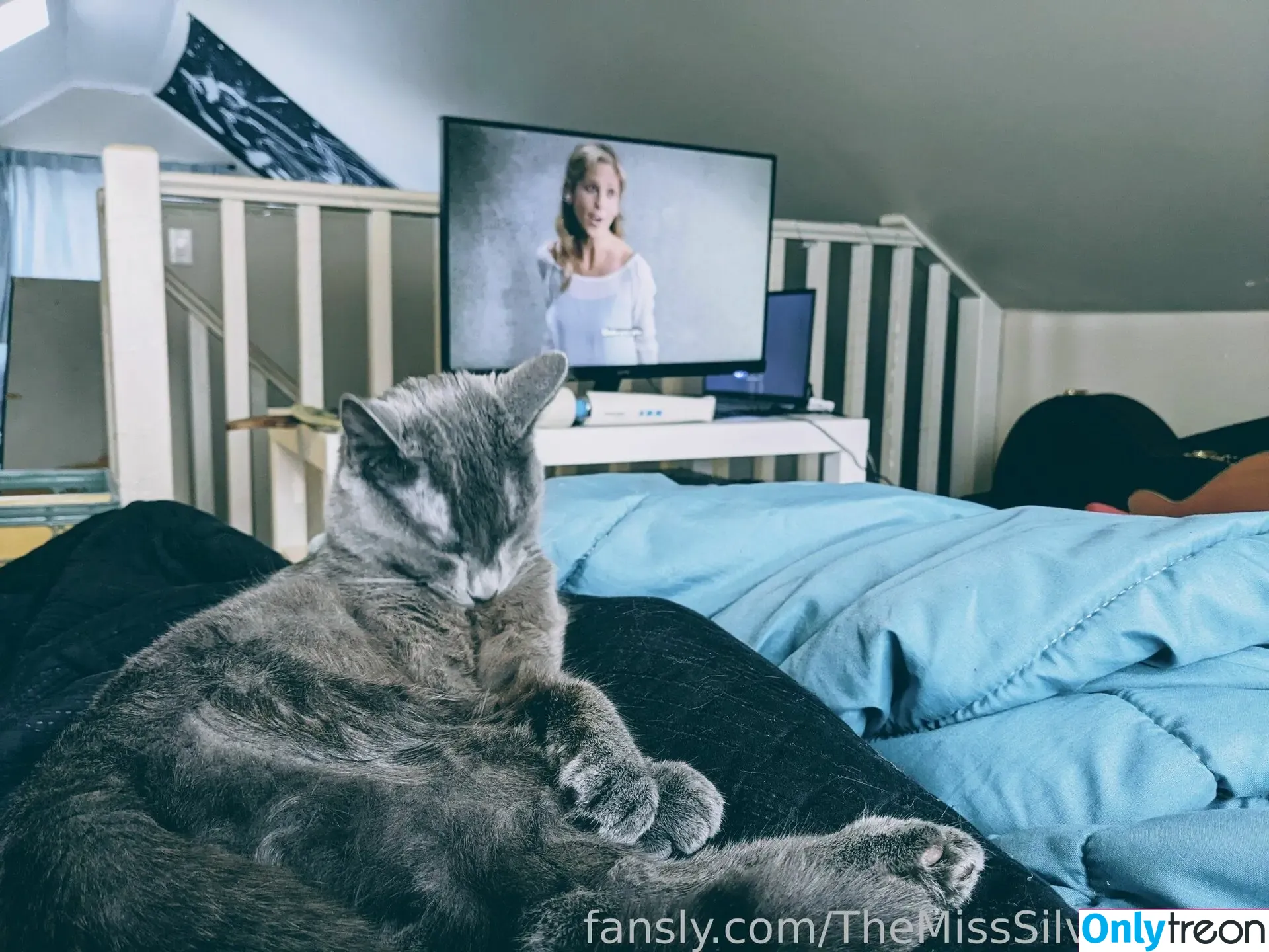 TheMissSilverWitch голая photo #0003 (TheMissSilverWitch)