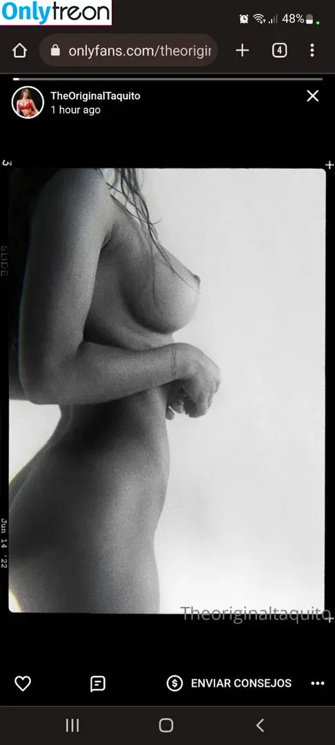 TheOriginalTaquito nude photo #0223 (theoriginaltaquitoo)