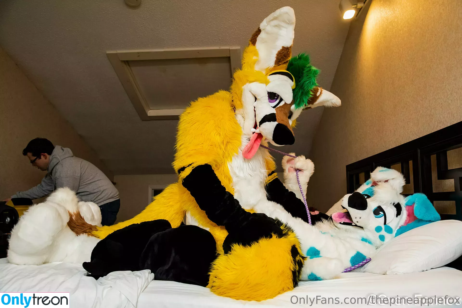 thepineapplefox nude photo #0001 (thepineapplefox)