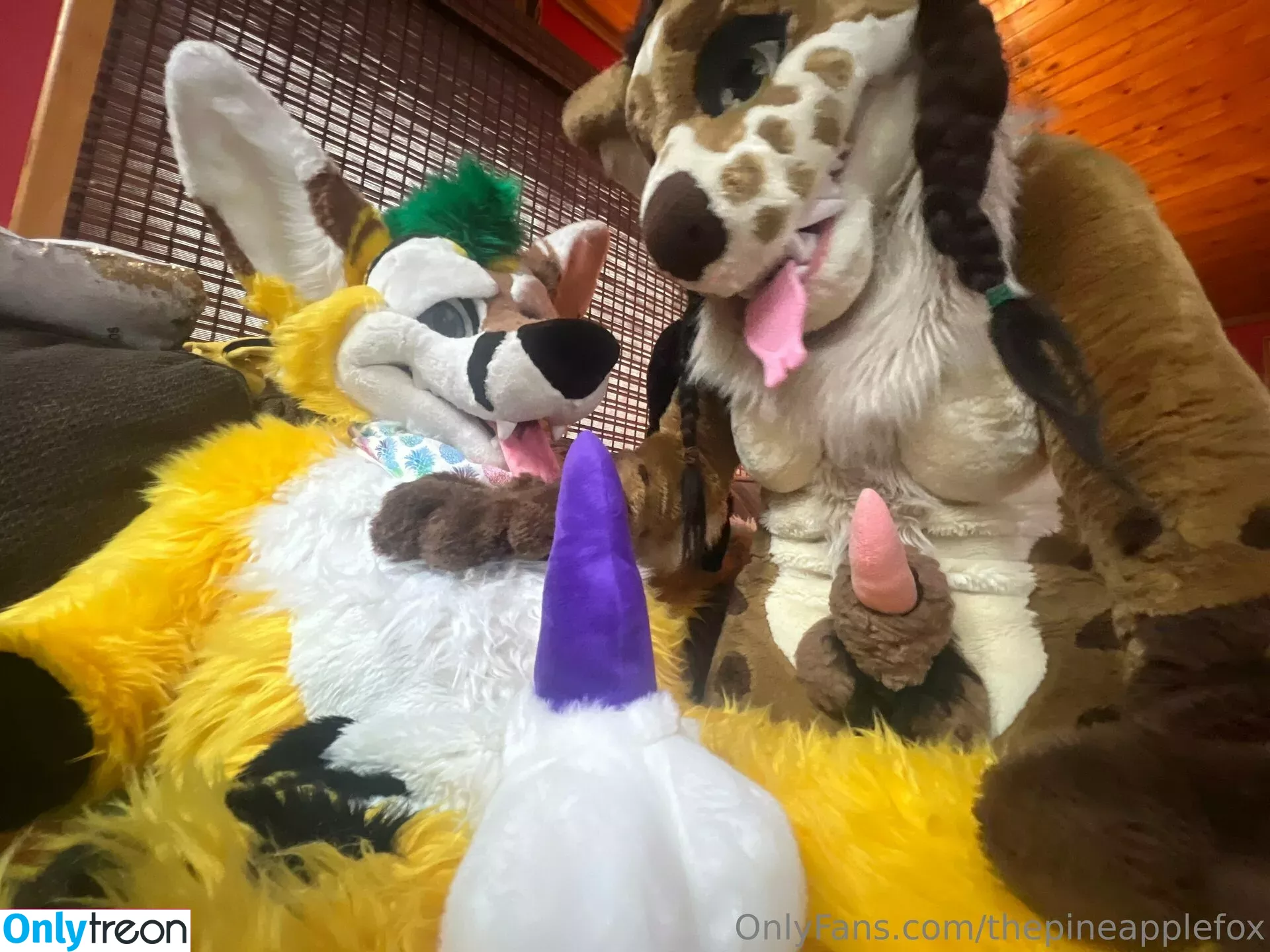 thepineapplefox nude photo #0093 (thepineapplefox)