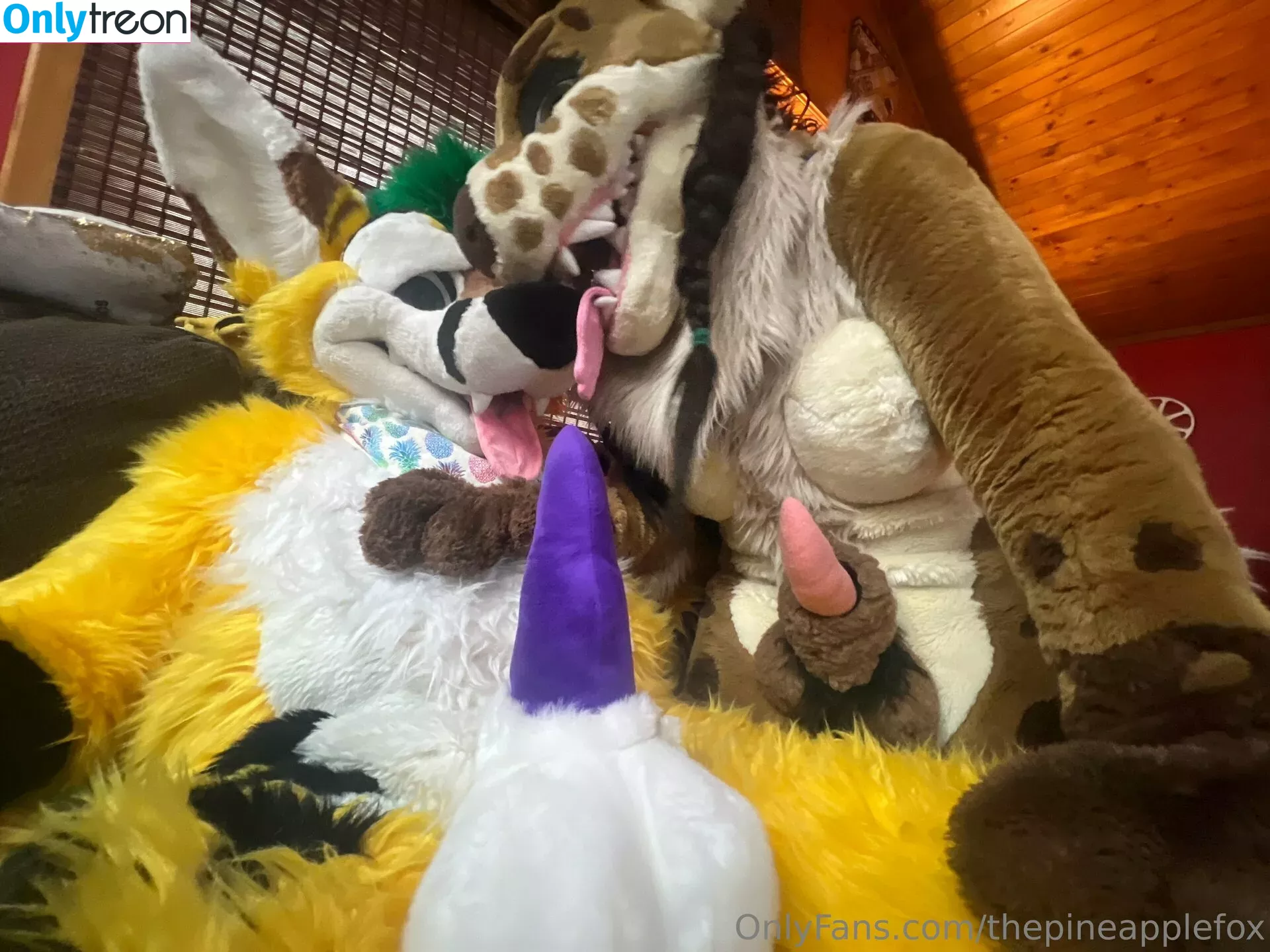 thepineapplefox nude photo #0094 (thepineapplefox)
