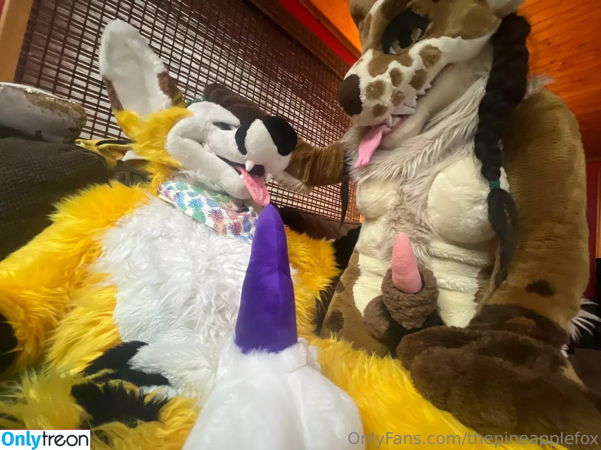 thepineapplefox nude photo #0095 (thepineapplefox)