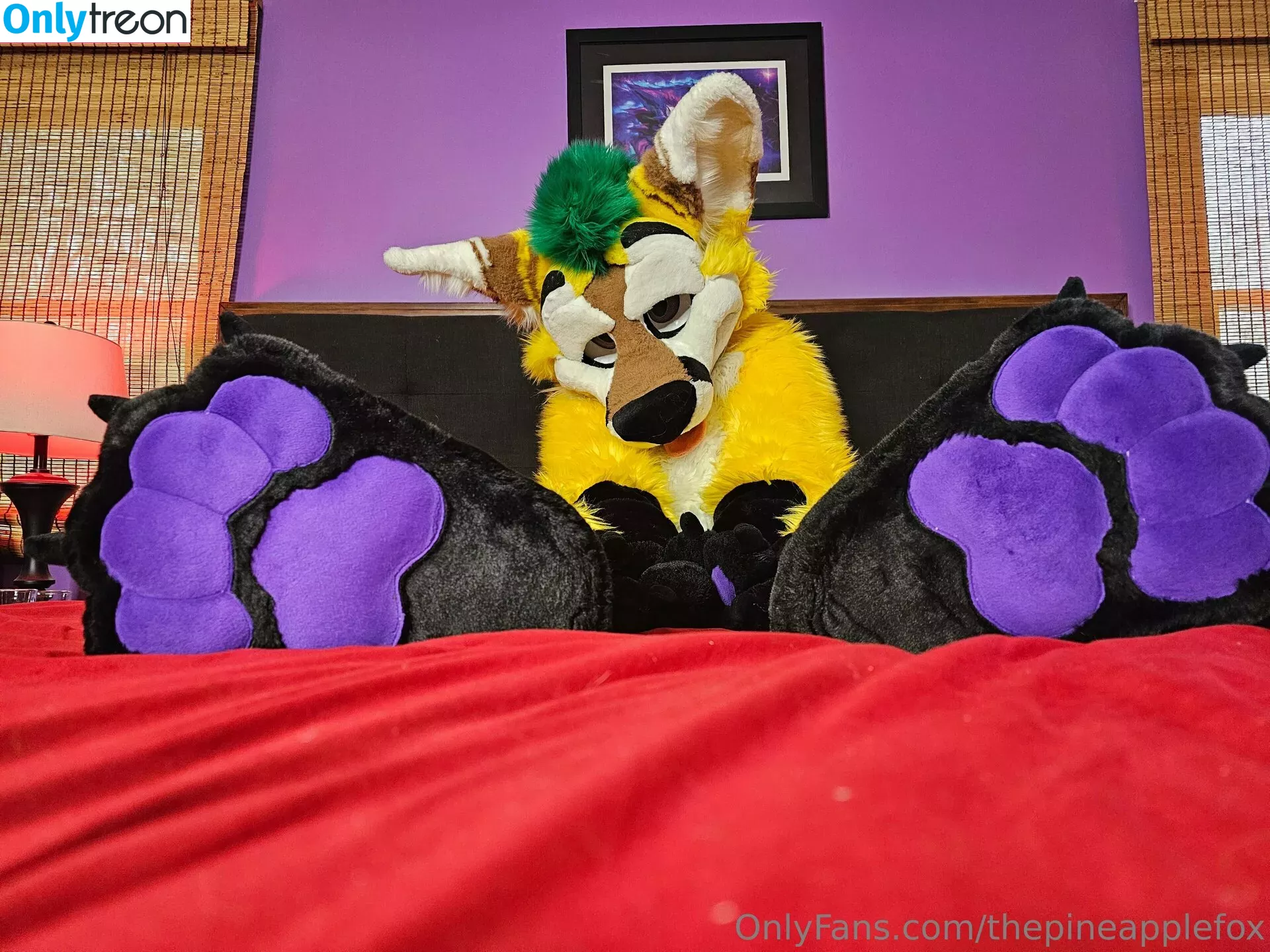 thepineapplefox nude photo #0099 (thepineapplefox)
