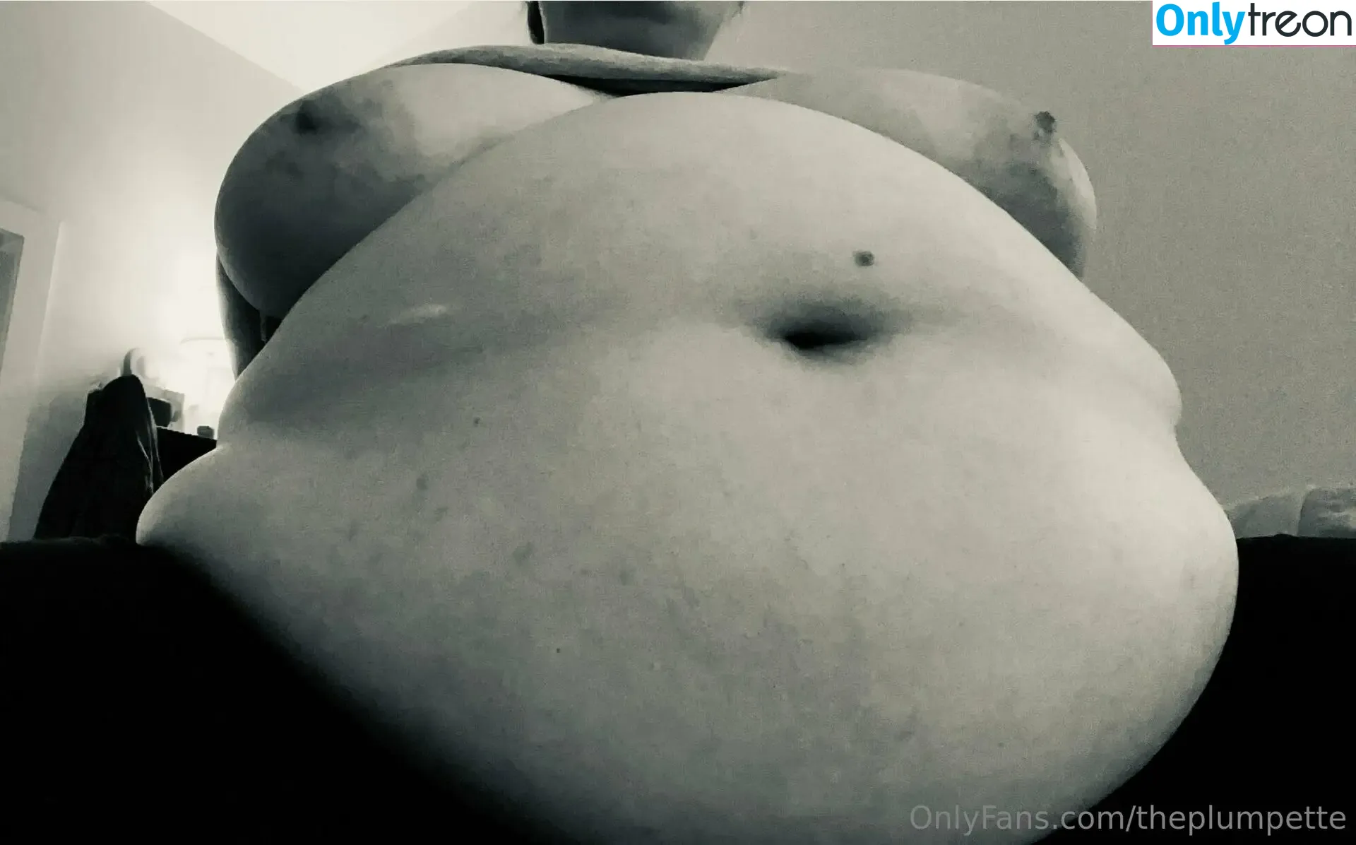 theplumpette nude photo #0052 (thepumpettes)