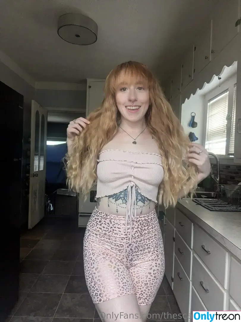 thescarlettvixen1 nude photo #0058 (thescarlettvixen1)