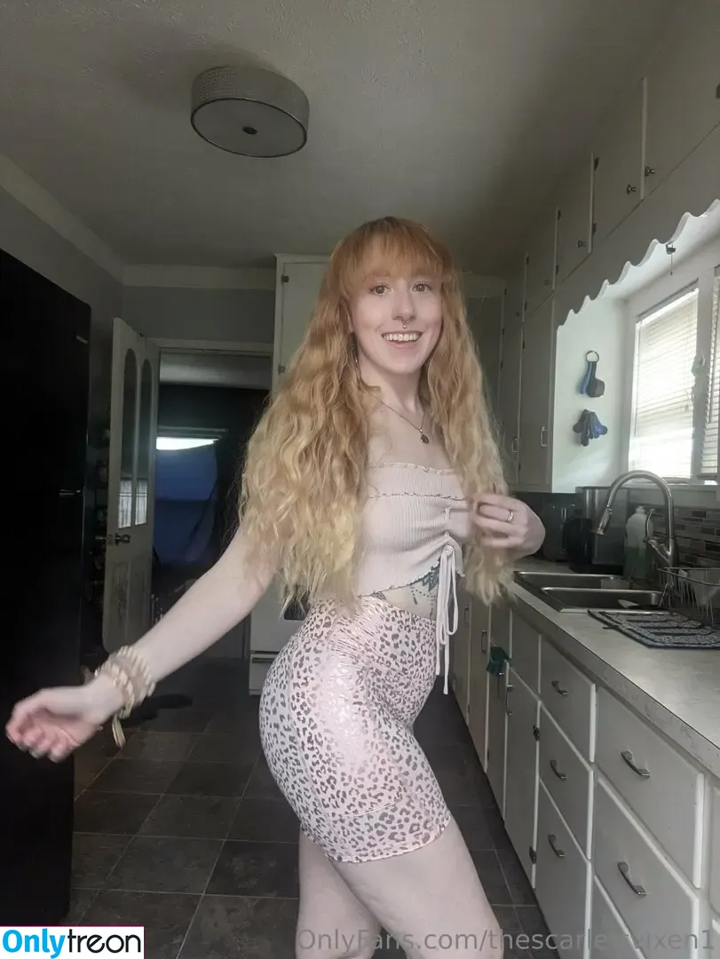 thescarlettvixen1 nude photo #0060 (thescarlettvixen1)