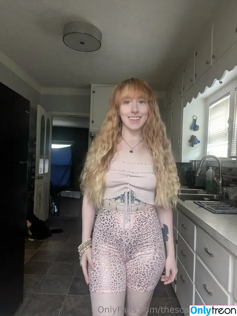 thescarlettvixen1 nude photo #0061 (thescarlettvixen1)