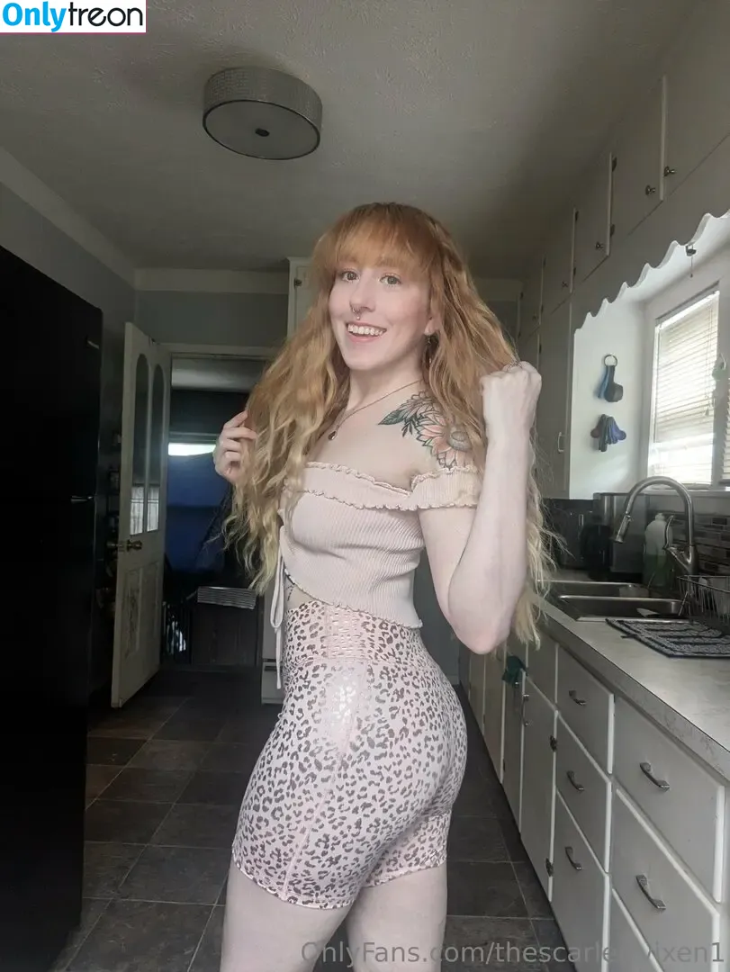 thescarlettvixen1 nude photo #0064 (thescarlettvixen1)