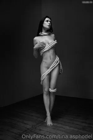 tina.asphodel / tinasherance фото голая #0239