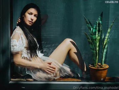 tina.asphodel / tinasherance фото голая #0275